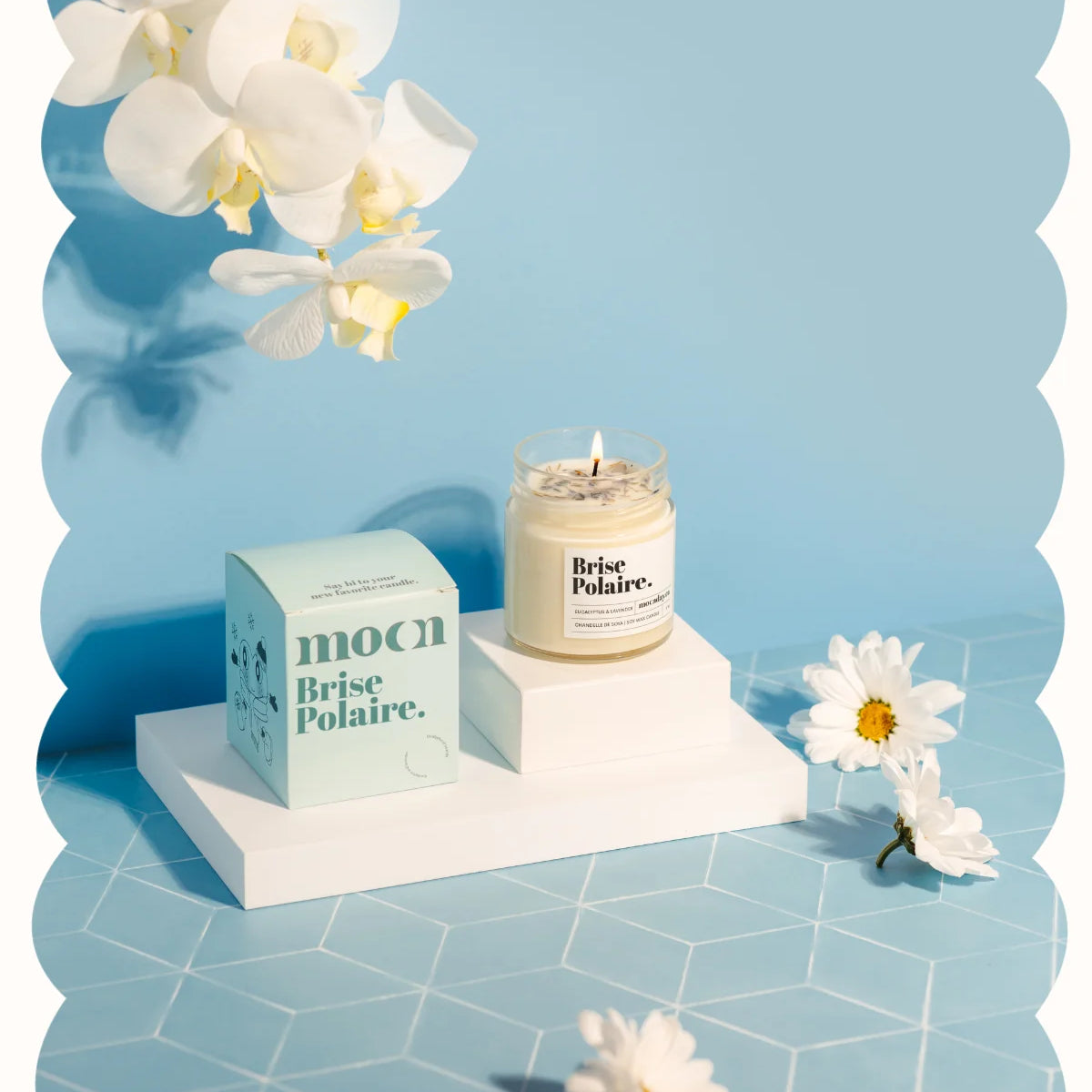 Bougie Brise polaire | arloca
