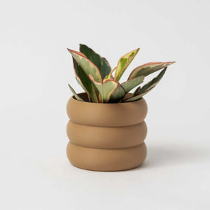 Cache-pot Le Bubbly - arloca