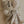 Doudou Billie le koala - arloca