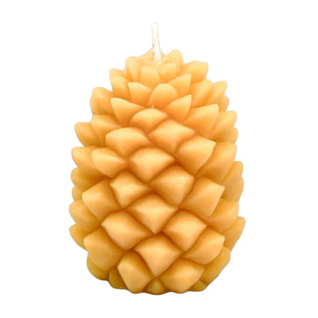 Bougie en cire d'abeille Pin - arloca