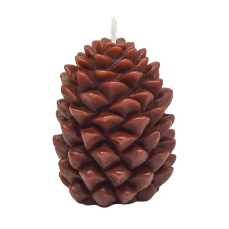 Bougie en cire d'abeille Pin - arloca
