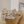 Ma p'tite couverte Sammy et ses plantes - arloca