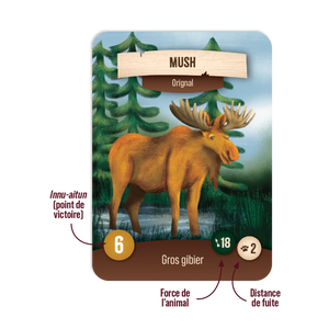 Jeu de société Nirassinan - arloca