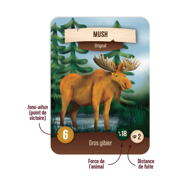 Jeu de société Nirassinan - arloca