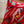 Housse de coussin en veloiurs Tout le long - arloca