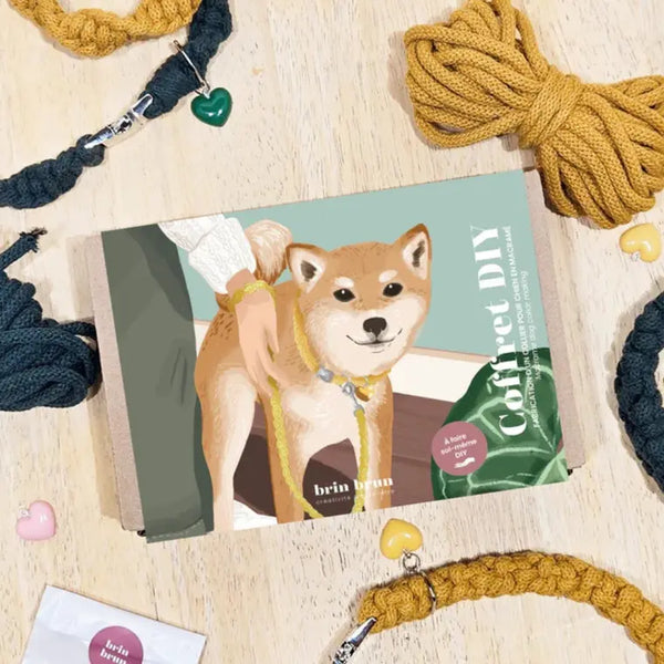 Ensemble de fabrication d'un collier pour chien - arloca