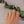 Anneau Corde or