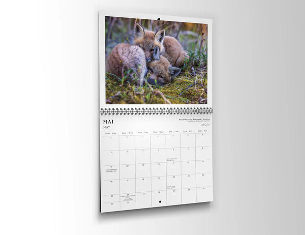 Calendrier 2027 Édition classique