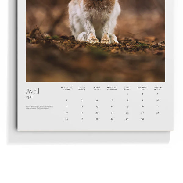 Calendrier 2027 Édition limitée