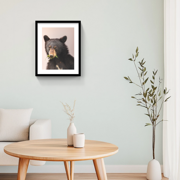 Affiche Ours noir - arloca