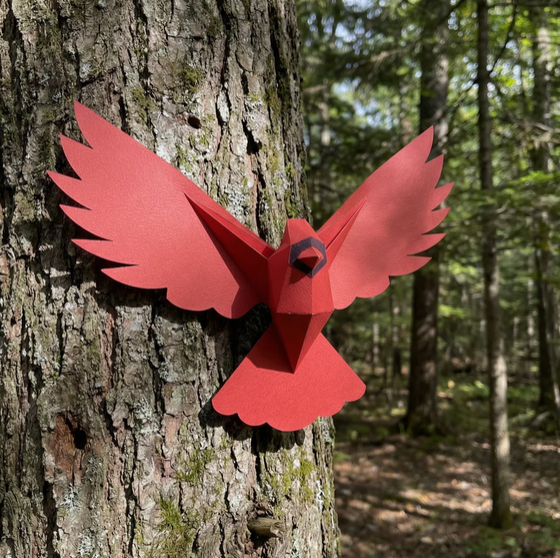 Kit de casse-tête 3D Cardinal