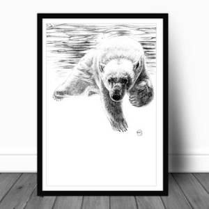 Affiche Ours polaire qui nage - arloca