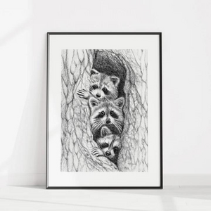 Affiche 3 ratons laveurs dans un arbre - arloca
