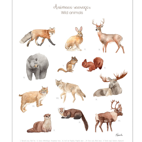 Affiche Animaux sauvages du Québec