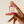 Load image into Gallery viewer, Vernis a ongles Pitaya

