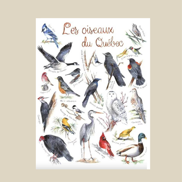 Carte de souhaits Oiseaux du Québec