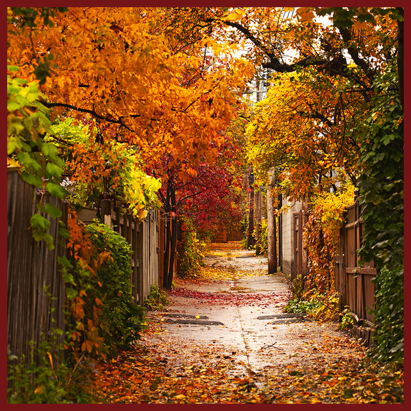 Carte de souhaits La ruelle arc-en-ciel