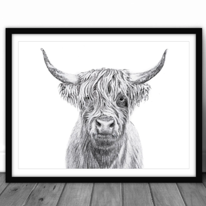 Affiche Vache Highland - arloca