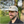 Casquette Départ de sentier Tan - arloca