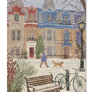 Carte postale Square Saint-Louis en hiver.