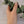 Anneau Huana argent