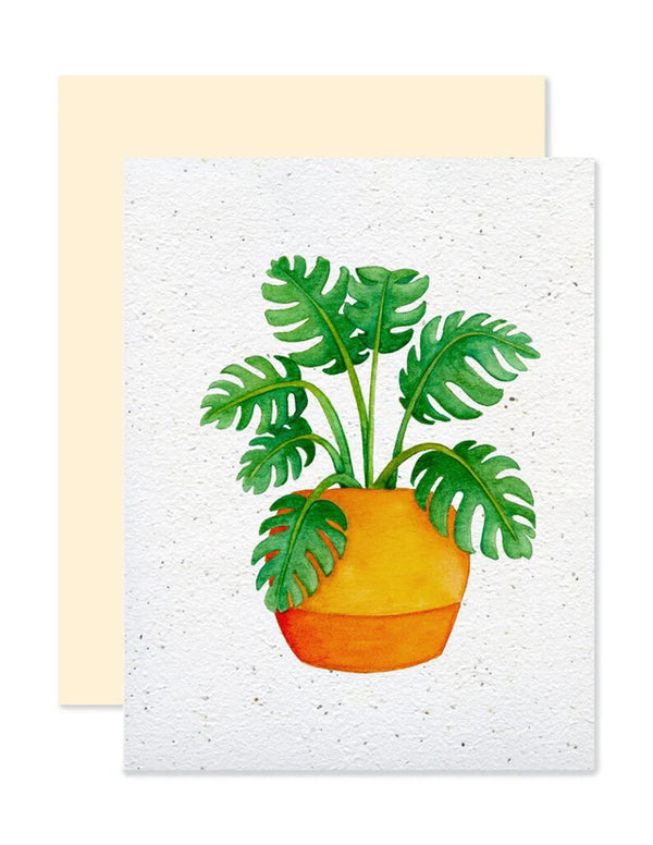 Carte de souhaits plantable Monstera