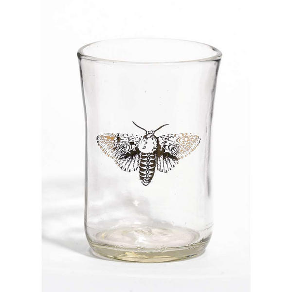 Ensemble de 4 verres imprimés d'insectes