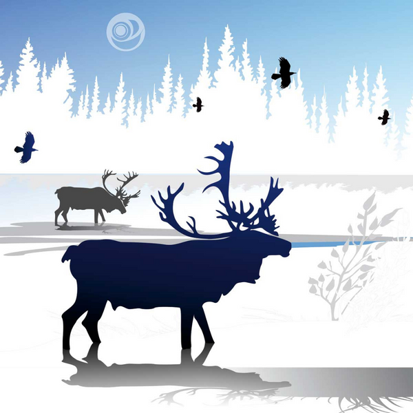 Carte de souhaits Le caribou en hiver