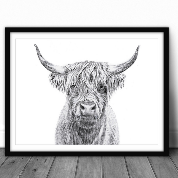 Affiche Vache Highland