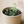 Load image into Gallery viewer, Mini pot lavande
