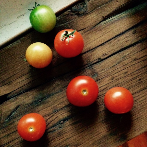 Mini pot tomates cerises