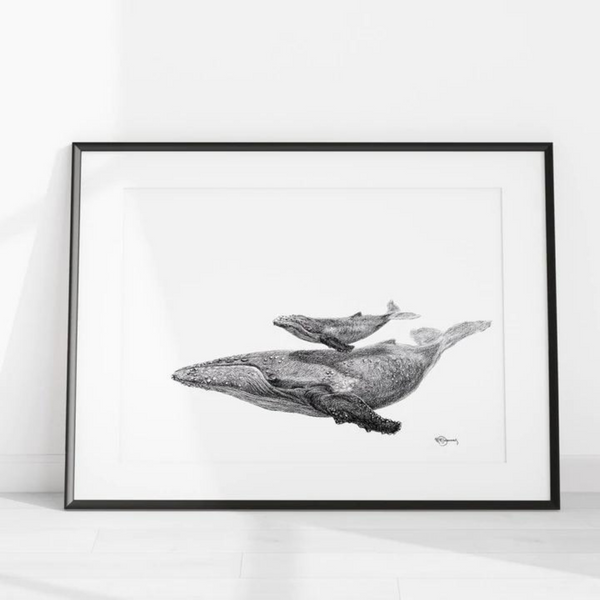 Affiche La baleine et son petit